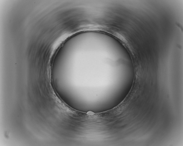 X0000100871472200807071050