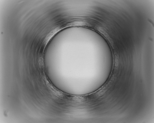 X0000100871473200807071050