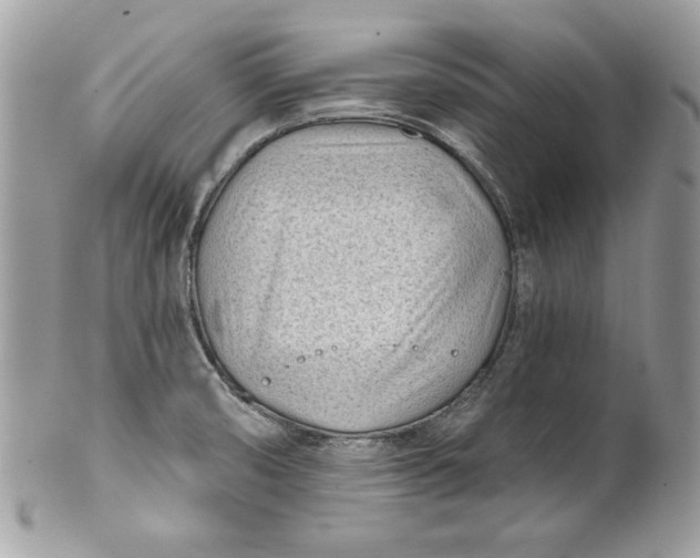 X0000100871474200807071050