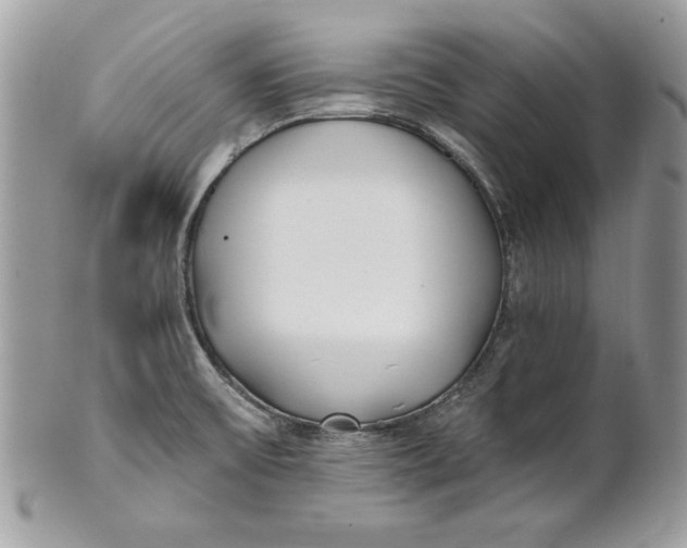 X0000100871475200807071050