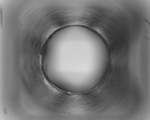 X0000100871476200807071050