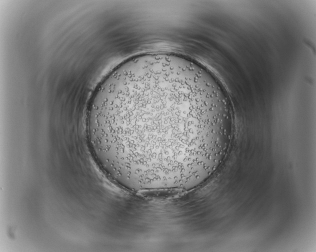 X0000100871477200807071050