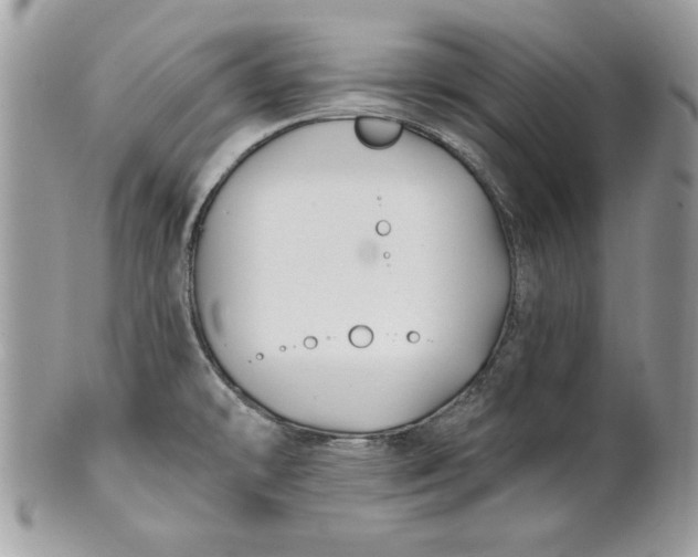 X0000100871478200807071050