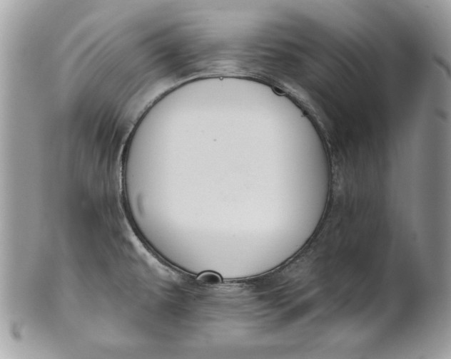 X0000100871479200807071050