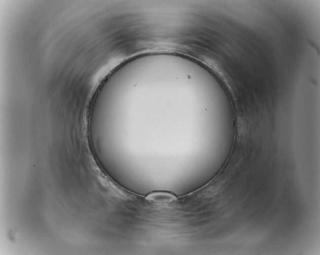 X0000100871480200807071050