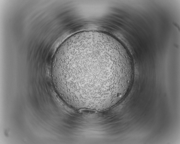 X0000100871481200807071050