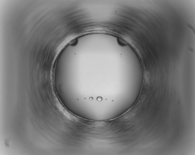 X0000100871482200807071050