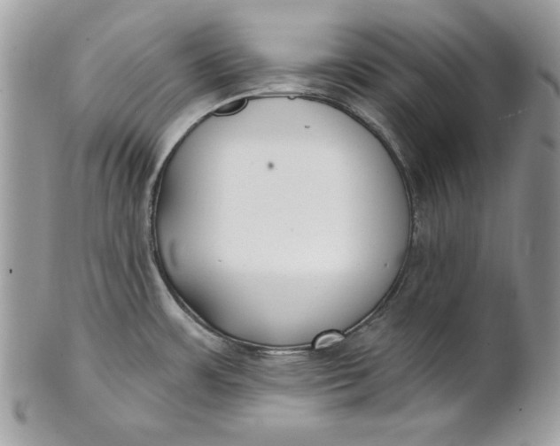 X0000100871483200807071050