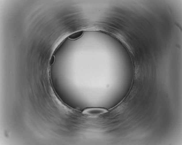 X0000100871484200807071050