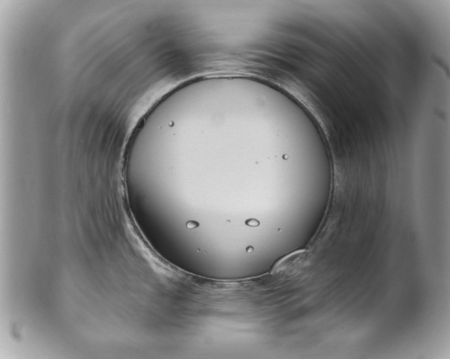 X0000100871485200807071050