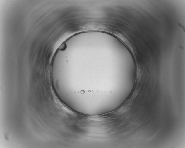 X0000100871486200807071050