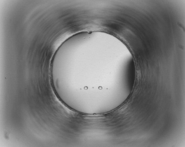 X0000100871487200807071050