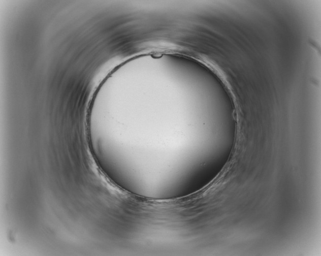 X0000100871488200807071050