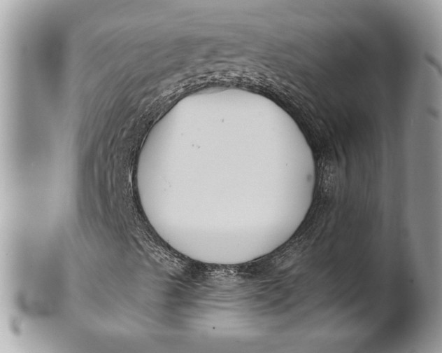 X0000100871489200807071049