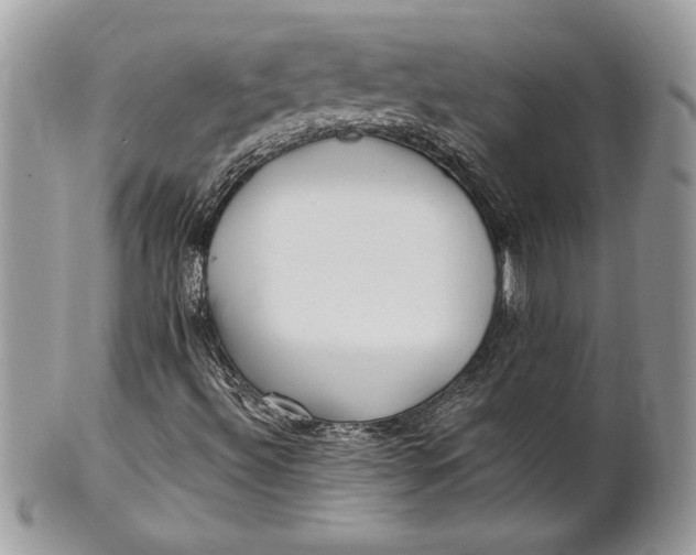 X0000100871492200807071049