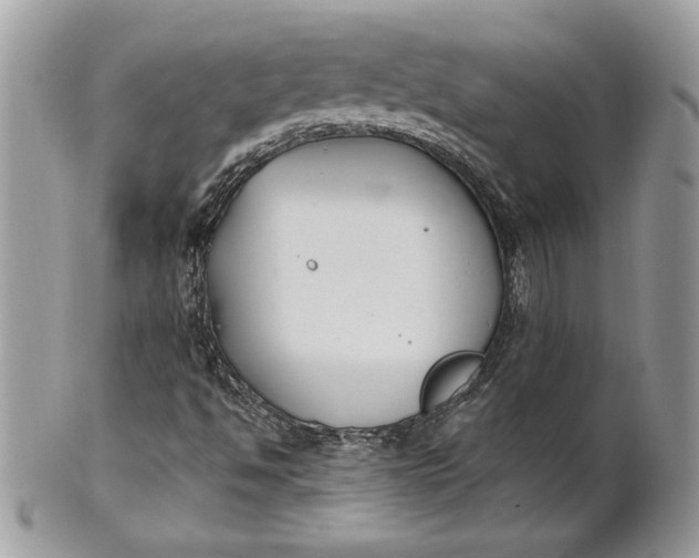 X0000100871494200807071049