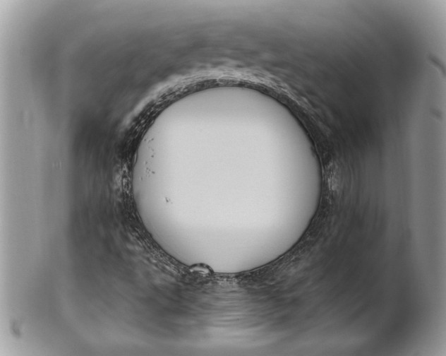 X0000100871495200807071049