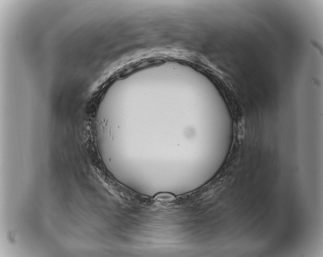 X0000100871496200807071049