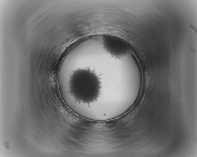 X0000100871497200807071049