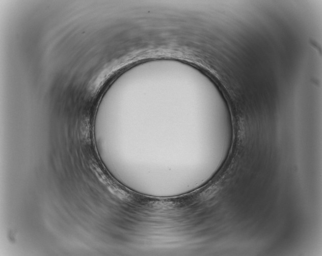 X0000100871499200807071050