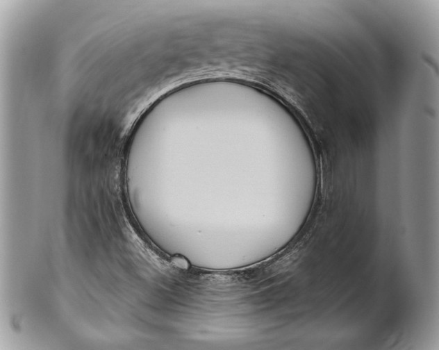 X0000100871500200807071050