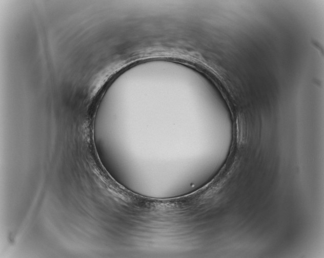 X0000100871501200807071050