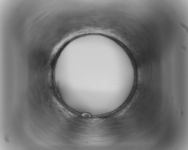 X0000100871502200807071050