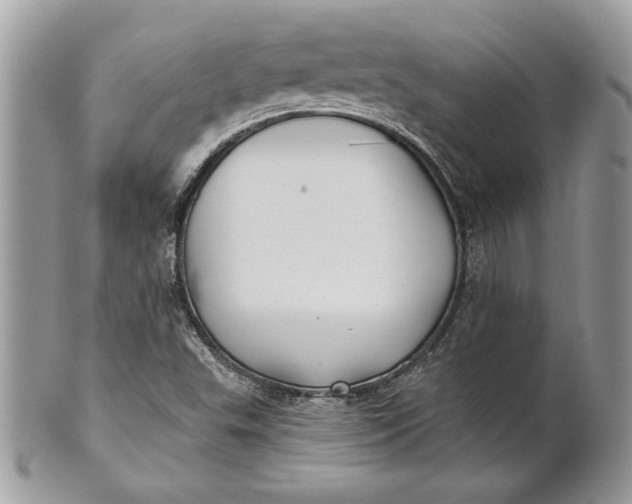 X0000100871503200807071050