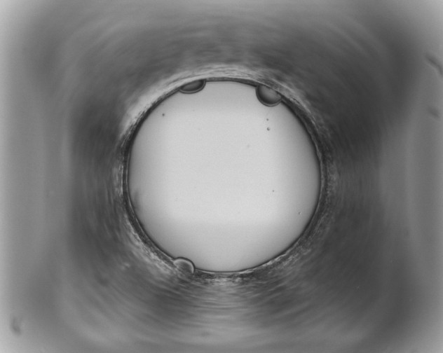 X0000100871504200807071050