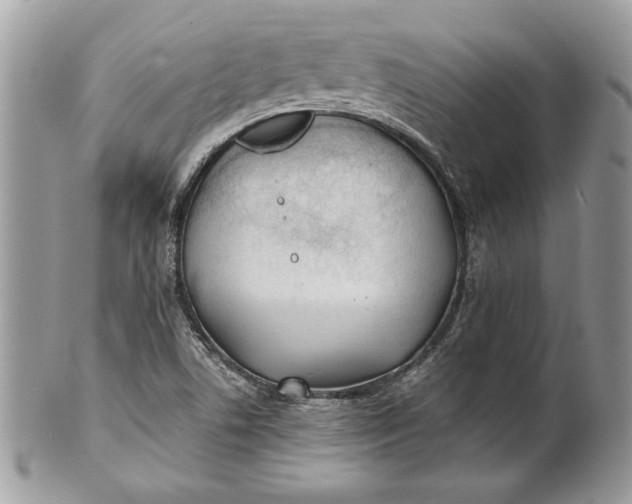 X0000100871506200807071050