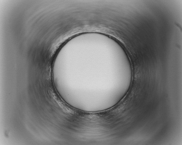 X0000100871507200807071050