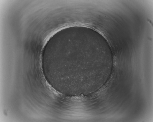 X0000100871508200807071050