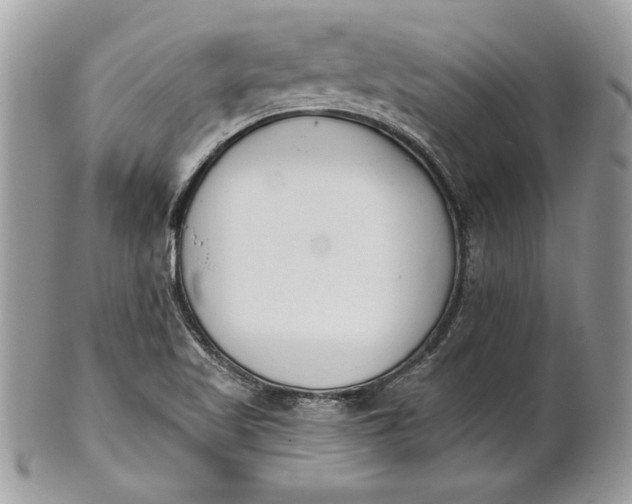 X0000100871509200807071050