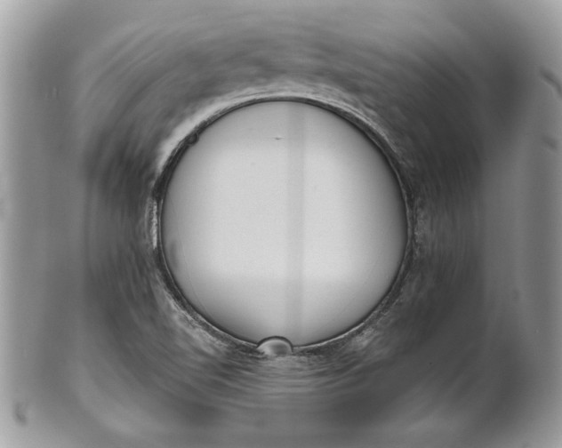 X0000100871510200807071050