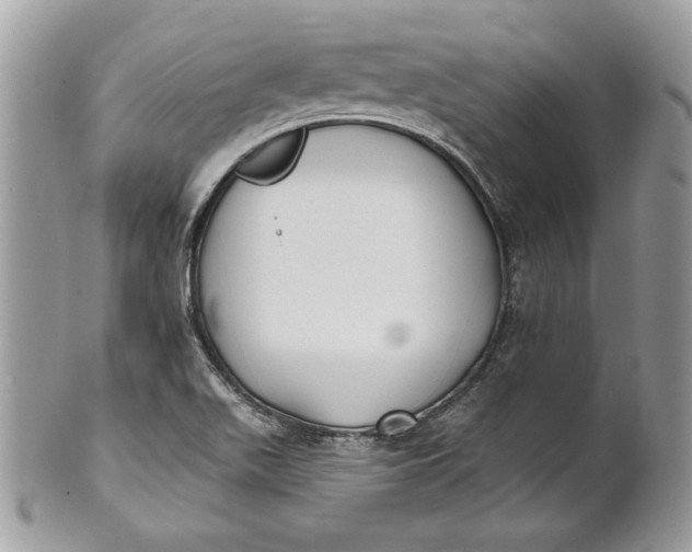 X0000100871511200807071050