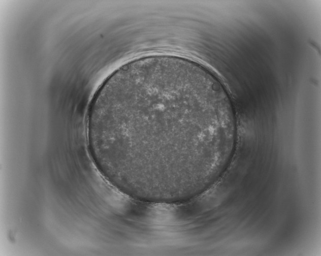 X0000100871514200807071050