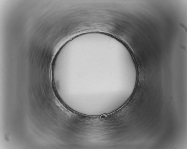 X0000100871516200807071050