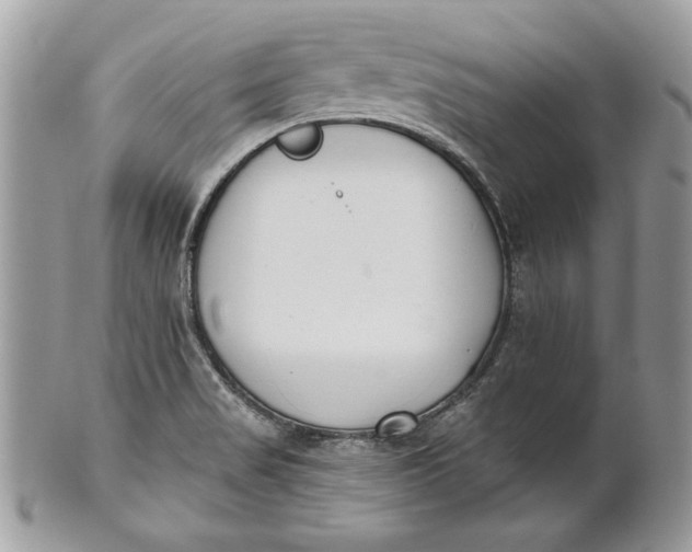 X0000100871517200807071050