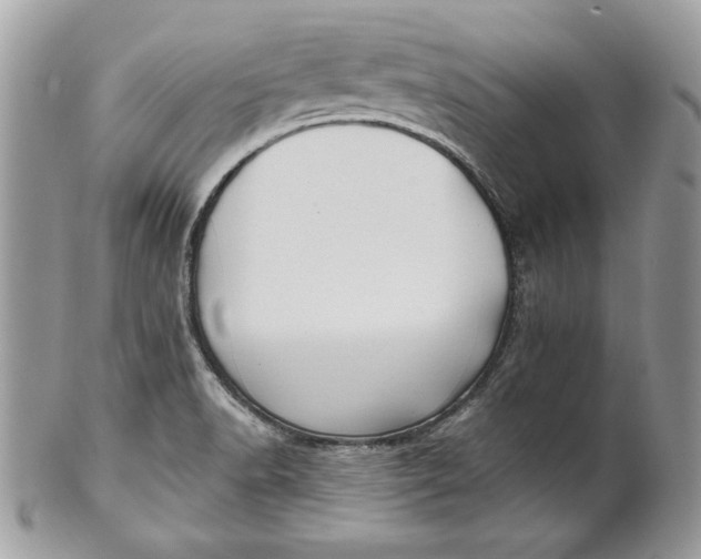 X0000100871518200807071050