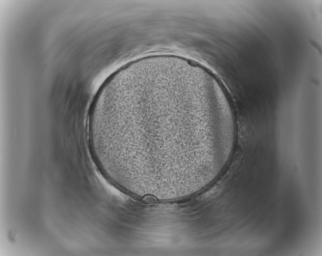 X0000100871519200807071050