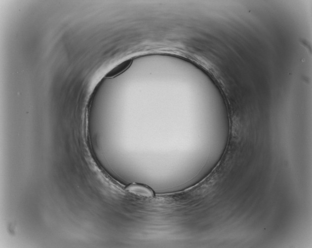 X0000100871520200807071050