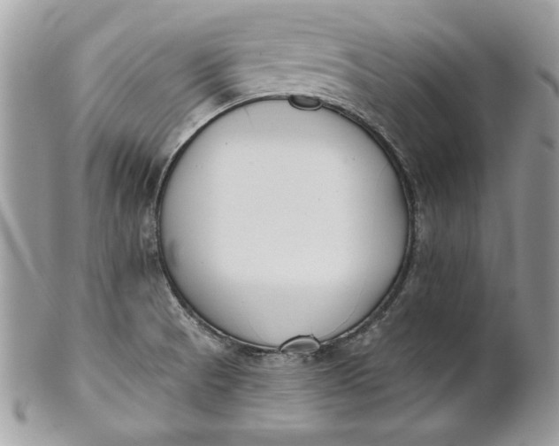 X0000100871521200807071050