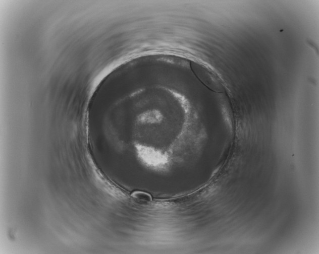 X0000100871522200807071050