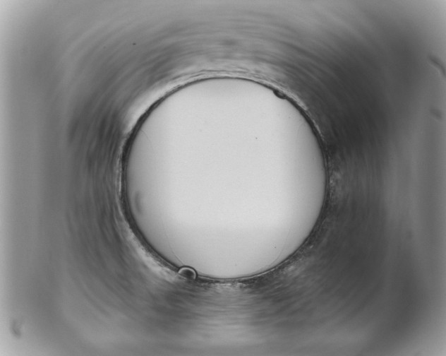 X0000100871523200807071050