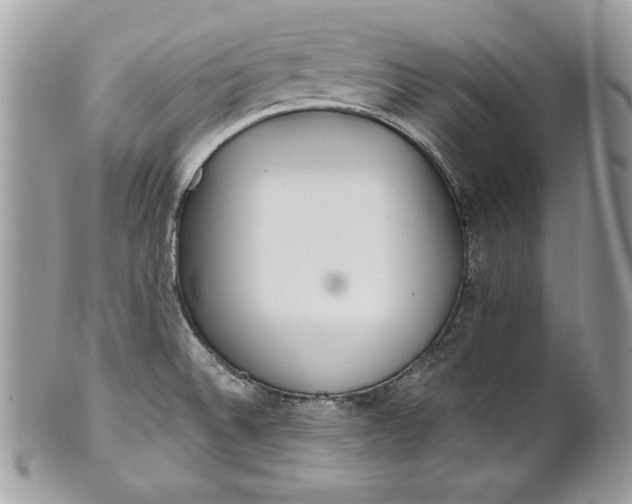 X0000100871524200807071050