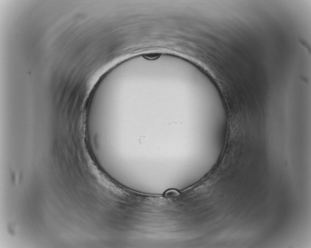 X0000100871526200807071050