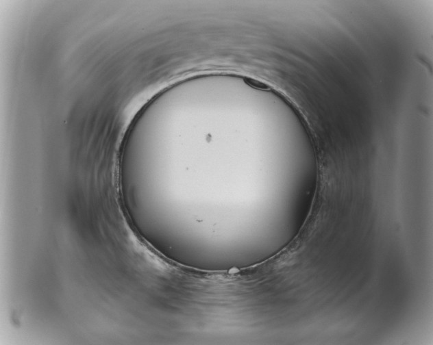 X0000100871527200807071050