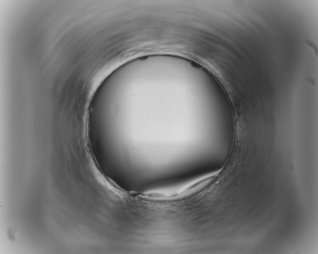 X0000100871528200807071050