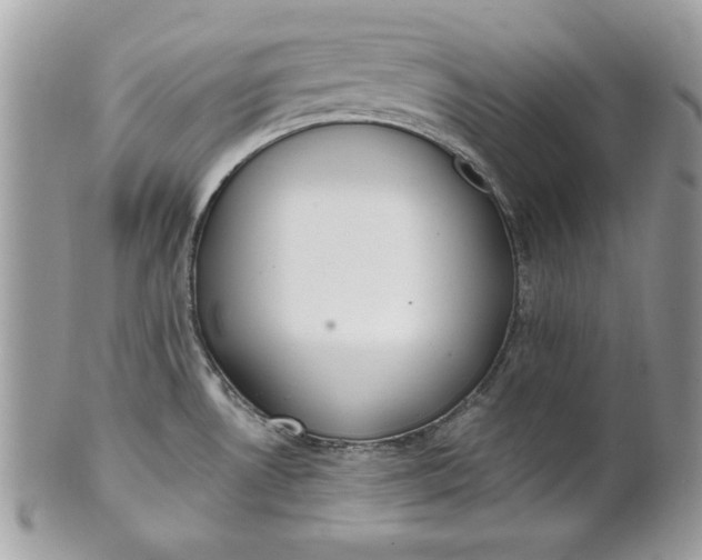 X0000100871530200807071050