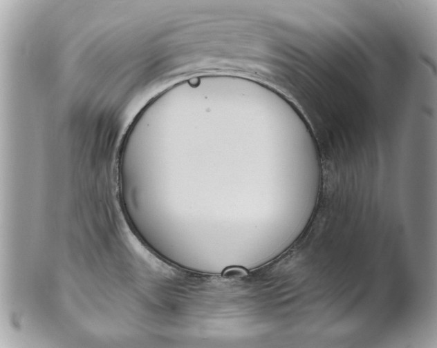 X0000100871531200807071050